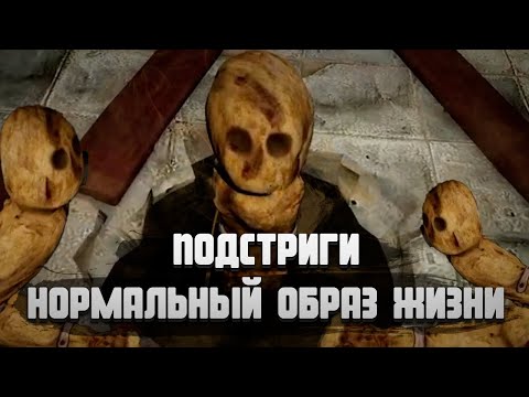 Видео: В Моём Доме творятся вовсе Не НОРМАЛЬНЫЕ вещи! - Shear Abnormality