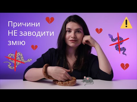 Видео: 7 причин не заводити змію
