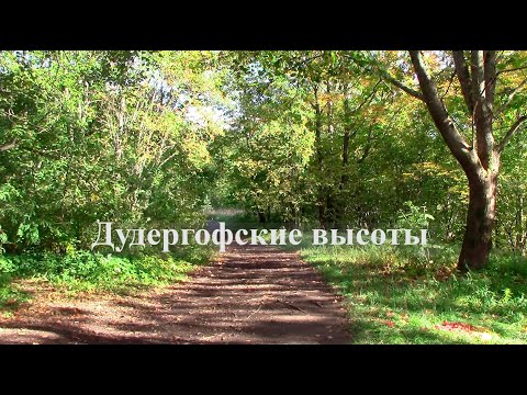 Видео: Тихая прогулка по Дудергофским высотам в одиночестве