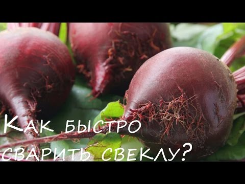 Видео: Как сварить свеклу быстро совет и просто 👍  лайфхак #1000menu