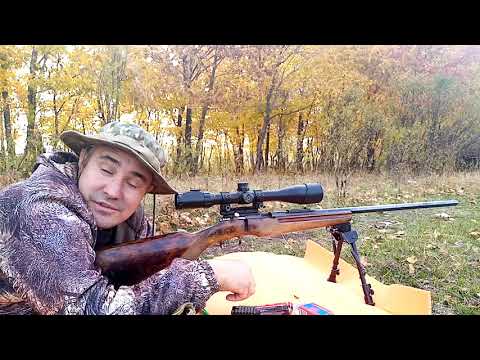 Видео: ТОЗ-8. Стрельба 50м.Патроны охотник 370.