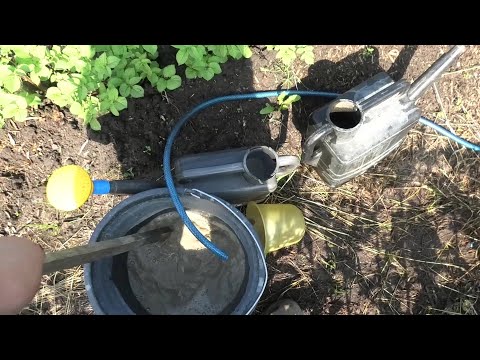 Видео: 18-25 07 24г подкормка борофоской,отдых на Двине