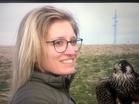 Видео: Соколиная охота в Испании 2023 Часть 1