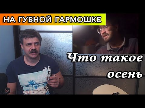 Видео: Что такое осень на губной гармошке