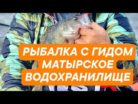 Видео: Рыбачим на Матырском водохранилище. Рыбалка Осень 2023