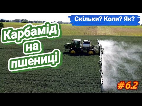 Видео: Карбамид на пшенице. Мочевина - удобрение для улучшения качества зерна: белка, глютена