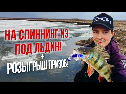 Видео: ЛОВЛЮ ОКУНЕЙ ИЗ ПОД ЛЬДИН НА ЛАЙТОВЫЙ СПИННИНГ. РЫБАЛКА В МЕЖСЕЗОНЬЕ.