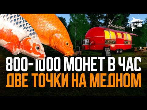 Видео: Две точки для ПРИЯТНОГО ФАРМА на Медном озере ● Русская рыбалка 4 ● Перчик РР4