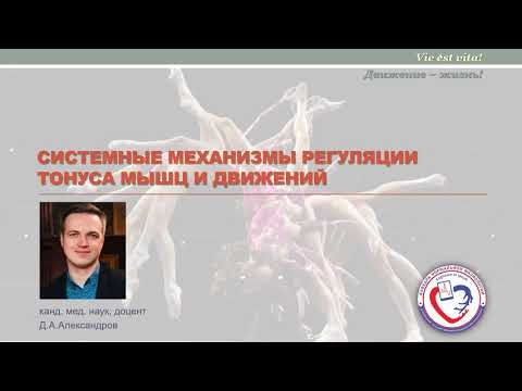 Видео: Лекция "Системные механизмы регуляции тонуса мышц и движений"