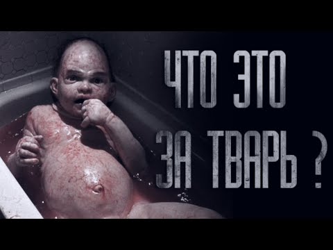 Видео: ЧТО ЭТО ЗА TBAPЬ?.. Страшные истории от Гробовщика. Истории на ночь. Хоррор. Ужасы