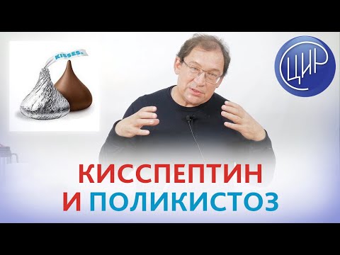 Видео: Поликистоз яичников и кисспептин. Или зачем надо знать механизмы центральной регуляции цикла.