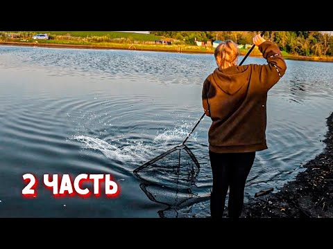 Видео: С ЖЕНОЙ НА РЫБАЛКЕ в палатке  ! УДОЧКА В ДУГУ | Проснулись от ДИКИХ ПАРОВОЗОВ ! ПОКЛЕВКИ 30 МИНУТ!