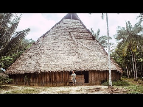 Видео: Церемония Аяуаски у амазонского шамана. Амазонские приключения.