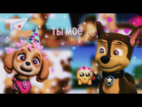 Видео: 😜Гонщик и Скай😜(Ты такая по приколу)~Для канала Иван Иванов~😜Chase x Skye😜