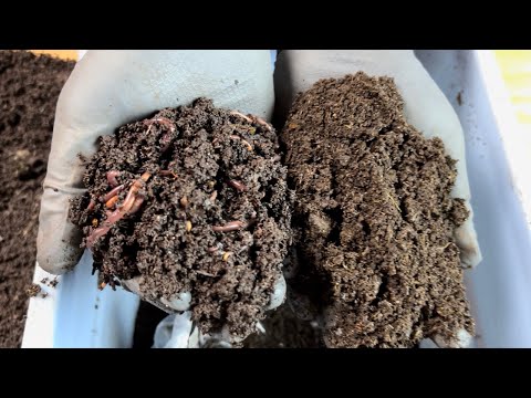 Видео: От постельных принадлежностей до КОРЗИНЫ, ПОЛНОЙ отливок, за 3 недели!