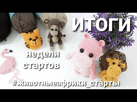 Видео: Итоги недели стартов "животные Африки"// #животныеафрики_старты