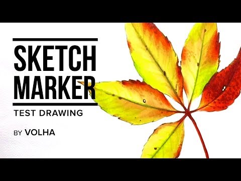 Видео: Sketchmarker test drawing #4 / Рисую маркерами Sketchmarker осенний листок