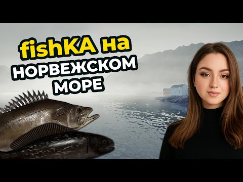 Видео: 🐬 ПРОВЕРЯЕМ АКТУАЛЬНЫЕ ТОЧКИ на НОРВЕЖСКОМ МОРЕ┃Русская Рыбалка 4 (РР4)