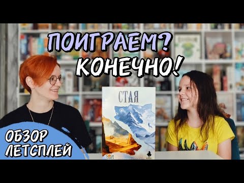 Видео: Стая 🦊 настольная игра: обзор и летсплей