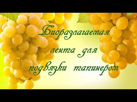 Видео: Биоразлагаемая лента для подвязки тапинером