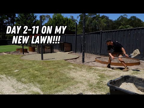 Видео: Подкормка нового газона. НУЖНО ЛИ это делать?