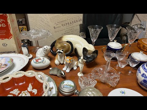 Видео: Они сделали мой день!