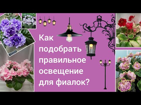 Видео: ОСВЕЩЕНИЕ для фиалок! Видео для НАЧИНАЮЩИХ! Рассказываю про светодиодные ленты, фитолампы, светильни