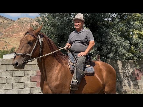 Видео: Тынар акенин кол бала Аты20 августа 2025 г.