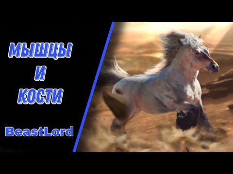 Видео: BeastLord ~ Гайд для новичков ~ Как прокачивать мышцы и кости?