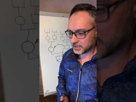 Видео: Родовые корни финансовых проблем