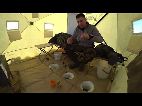 Видео: НОЧЁВКА НА ЛЬДУ бешеный клёв рыбы!!!!