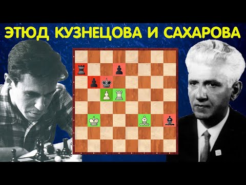 Видео: ШЕДЕВРАЛЬНЫЙ ЭТЮД Кузнецова и Сахарова! Шахматы