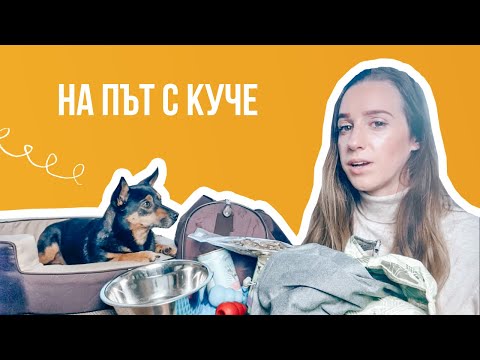 Видео: На път с Петър и Арчи | Животът с куче