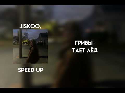 Видео: грибы - тает лёд (speed up)