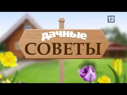 Видео: Дачные советы: малые архитектурные формы на дачном участке