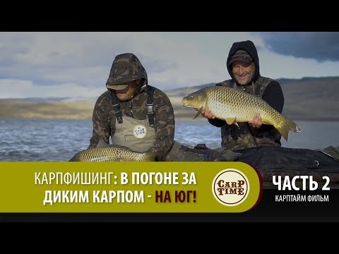 Видео: ⭐ Карпфишинг: В погоне за ДИКИМ КАРПОМ на ЮГ! Часть 2