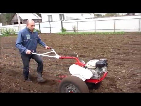 Видео: Культивация и нарезка борозд под посадку картошки,мотоблоком weima 1050