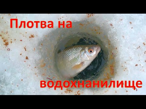 Видео: Ловля плотвы в глухозимье на ВДХР.