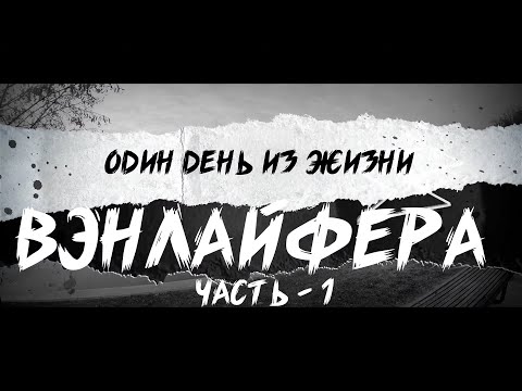 Видео: Один день из жизни вэнлайфера, часть 1