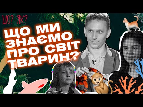 Видео: Нюх собаки, зір сови та маскування змії: що ми знаємо про світ тварин | "Шо? Як?" | Випуск 3