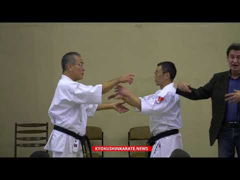 Видео: Канчо Хацуо Рояма про И-кен (кит. Ицюань)