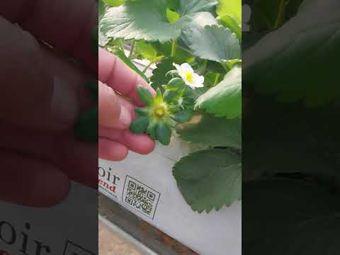 Видео: 23 октября 2025 г.