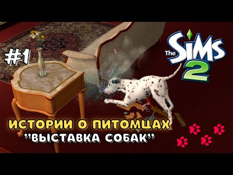 Видео: THE SIMS 2 ИСТОРИИ О ПИТОМЦАХ | СОБАКА-РАЗРУШИТЕЛЬ | СЕРИЯ 1
