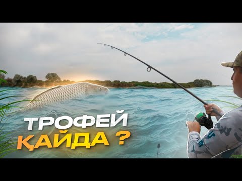 Видео: " ТРОФЕЙ " қайда??? Дарияға барып балық аулап қайттық. Қуырдақ жеееп))