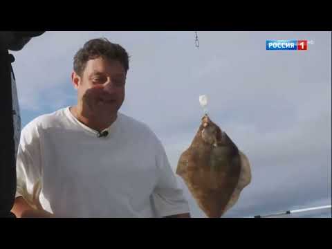 Видео: По секрету всему свету 08.11.2025 Камчатский край