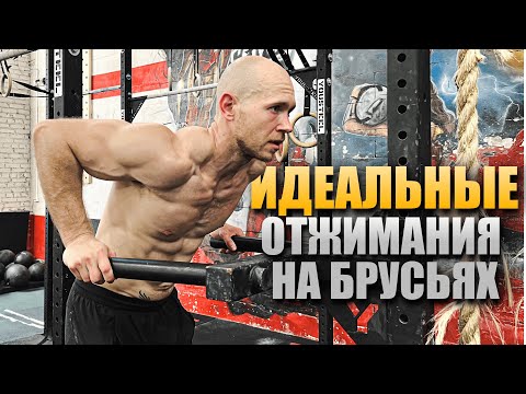 Видео: Как делать ОТЖИМАНИЯ НА БРУСЬЯХ правильно — техника, прогрессия, ошибки