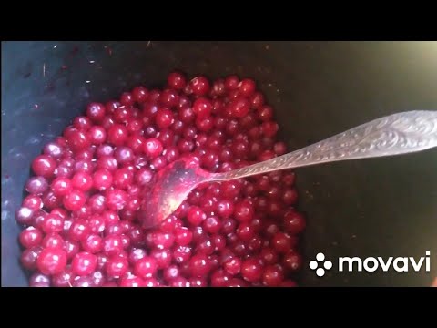 Видео: 🍃 КЛЮКВА . ))))