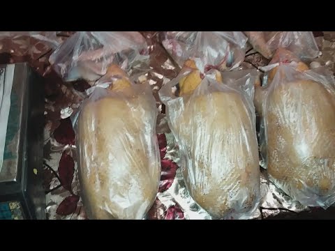 Видео: ВЕС МОИХ МУСКУСОВ В 5 МЕСЯЦЕВ!!!!!