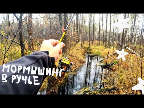 Видео: МОРМЫШИНГ x ЛЕСНОЙ РУЧЕЙ и ОЗЕРО x ГЛУХИЕ МЕСТА #19