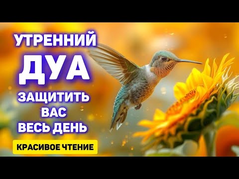 Видео: УТРЕННИЙ ДУА И ВЕЧЕРНЫЙ ДУА НА КАЖДЫЙ ДЕНЬ! أذكار الصباح والمساء ЗАЩИТИТЬ ВАС КРУГЛОСУТОЧНО!